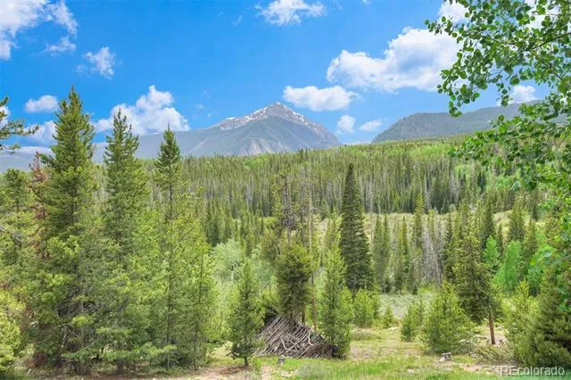 9460 Ryan Gulch Road #9461 Silverthorne, CO 80498