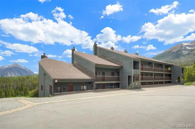 9460 Ryan Gulch Road #9461 Silverthorne, CO 80498