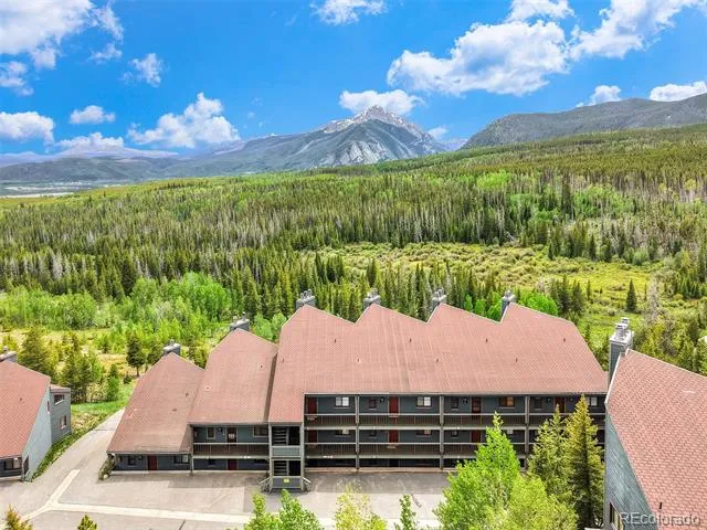 9460 Ryan Gulch Road #9461 Silverthorne, CO 80498
