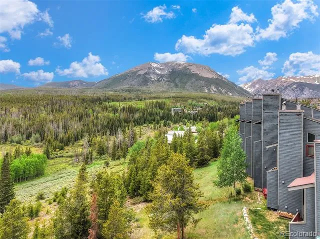 9460 Ryan Gulch Road #9461 Silverthorne, CO 80498