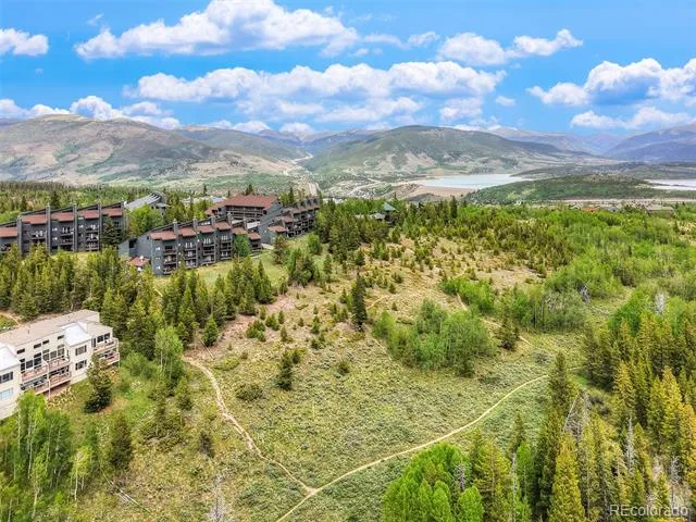9460 Ryan Gulch Road #9461 Silverthorne, CO 80498