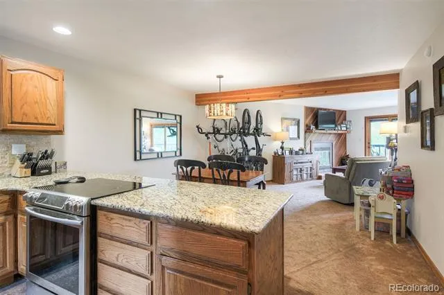 9460 Ryan Gulch Road #9461 Silverthorne, CO 80498