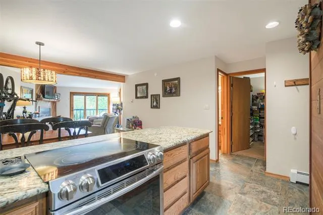 9460 Ryan Gulch Road #9461 Silverthorne, CO 80498
