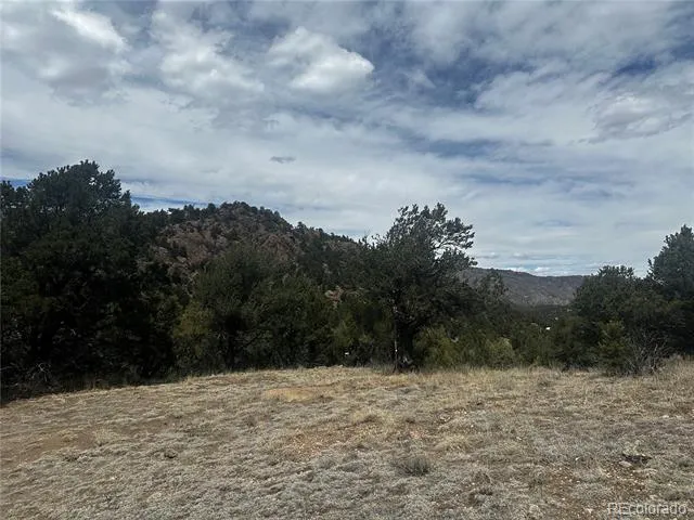 938 Shoshone Drive Canon City, CO 81212