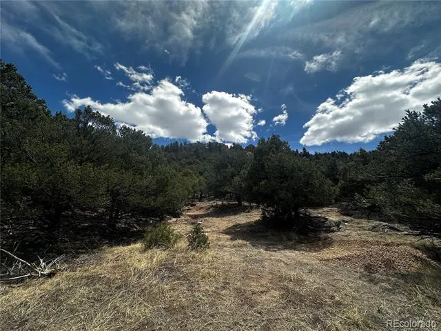938 Shoshone Drive Canon City, CO 81212