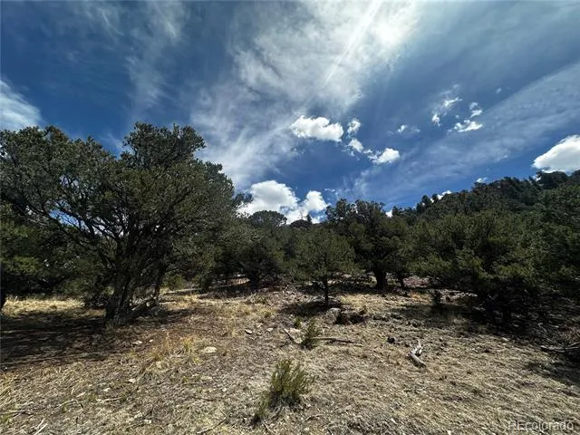 938 Shoshone Drive Canon City, CO 81212
