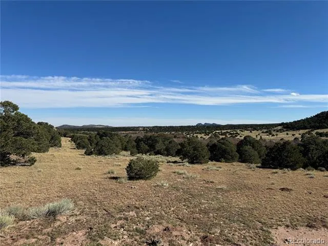 L41 Co Rd 531 CL&G Unit BB Walsenburg, CO 81089