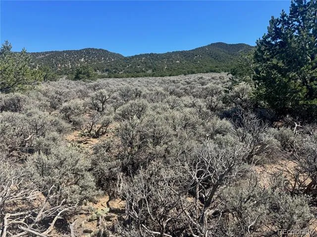 lot 1275 Juarez Road Fort Garland, CO 81133
