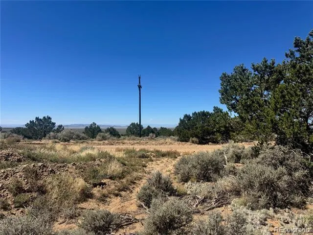 lot 1275 Juarez Road Fort Garland, CO 81133