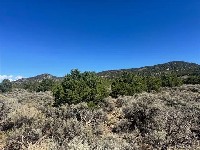 lot 1275 Juarez Road Fort Garland, CO 81133