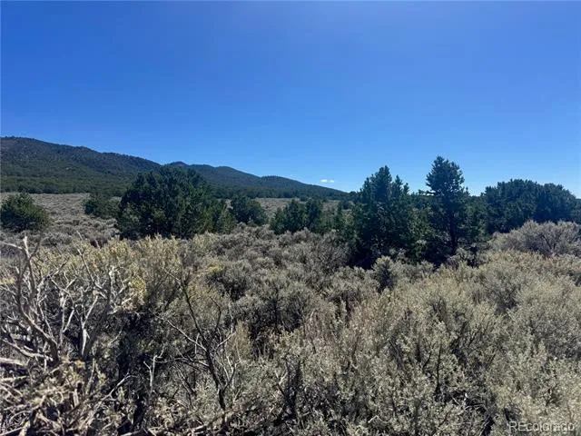lot 1275 Juarez Road Fort Garland, CO 81133