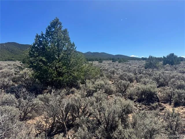 lot 1275 Juarez Road Fort Garland, CO 81133