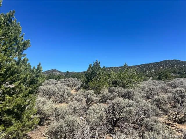 lot 1275 Juarez Road Fort Garland, CO 81133