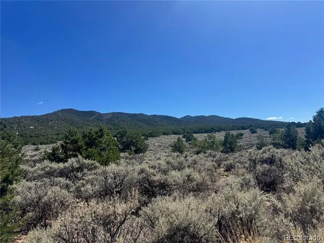 lot 1275 Juarez Road Fort Garland, CO 81133