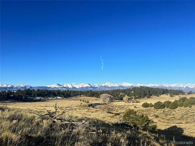 309 Choctaw Trail Westcliffe, CO 81252