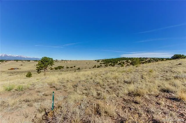 309 Choctaw Trail Westcliffe, CO 81252