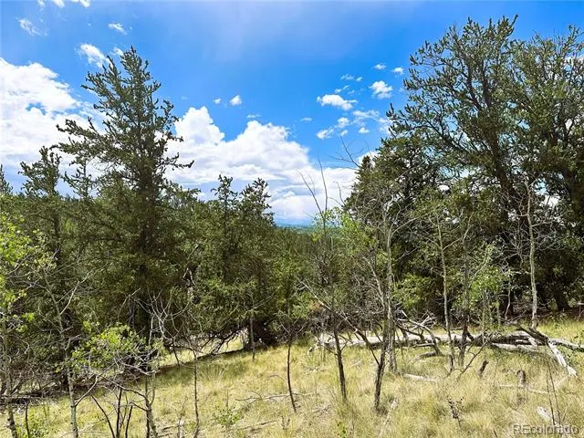 Address Not Shown Como, CO 80432