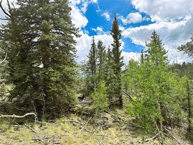 Address Not Shown Como, CO 80432