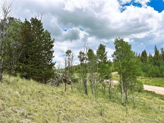 Address Not Shown Como, CO 80432