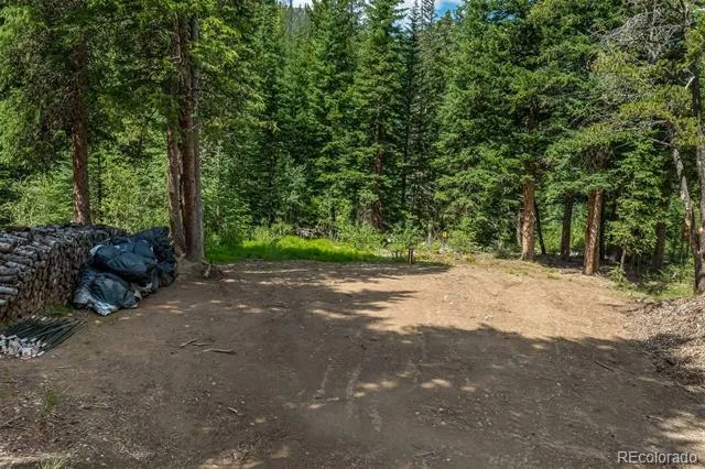 5400 Montezuma Road Montezuma, CO 80435