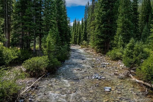 5400 Montezuma Road Montezuma, CO 80435