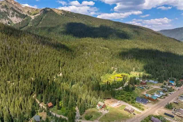 5400 Montezuma Road Montezuma, CO 80435