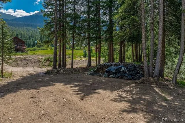 5400 Montezuma Road Montezuma, CO 80435