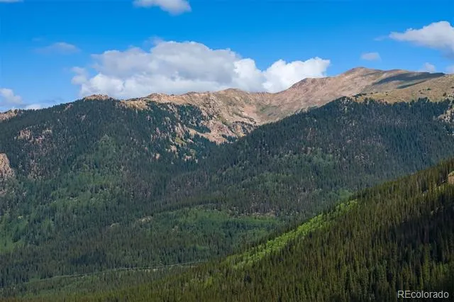 5400 Montezuma Road Montezuma, CO 80435