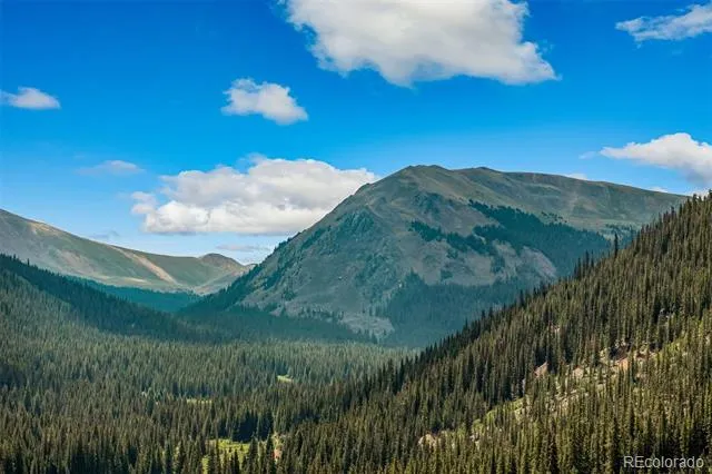 5400 Montezuma Road Montezuma, CO 80435