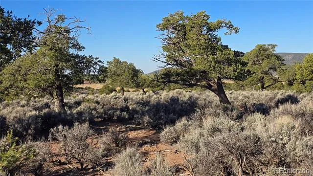 Lot 3714 Hartgrave Road Fort Garland, CO 81133