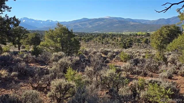 Lot 3714 Hartgrave Road Fort Garland, CO 81133