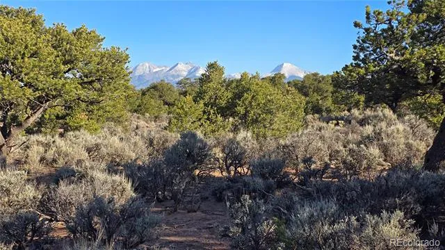 Lot 3714 Hartgrave Road Fort Garland, CO 81133