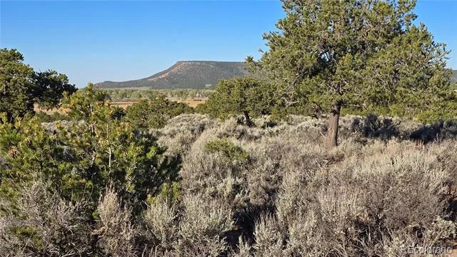 Lot 3714 Hartgrave Road Fort Garland, CO 81133