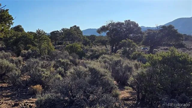 Lot 3714 Hartgrave Road Fort Garland, CO 81133