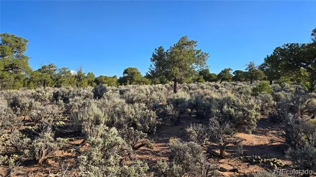 Lot 3714 Hartgrave Road Fort Garland, CO 81133