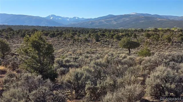 Lot 3714 Hartgrave Road Fort Garland, CO 81133