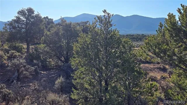 Lot 3714 Hartgrave Road Fort Garland, CO 81133