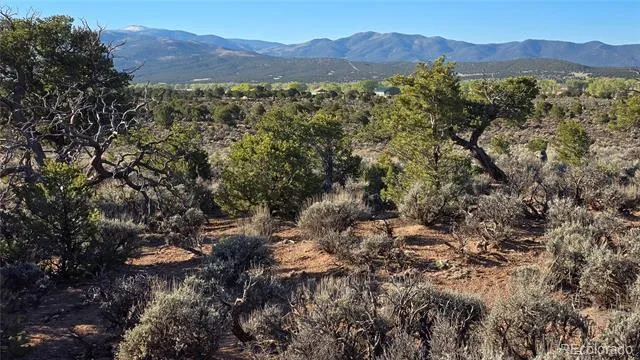 Lot 3714 Hartgrave Road Fort Garland, CO 81133