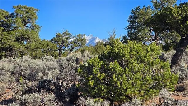Lot 3714 Hartgrave Road Fort Garland, CO 81133