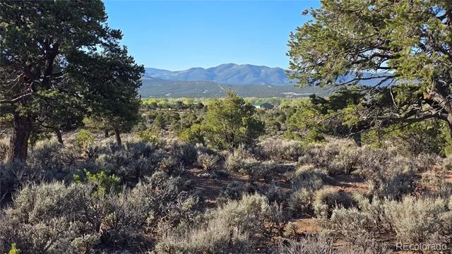 Lot 3714 Hartgrave Road Fort Garland, CO 81133