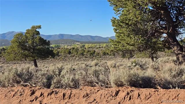 Lot 3714 Hartgrave Road Fort Garland, CO 81133