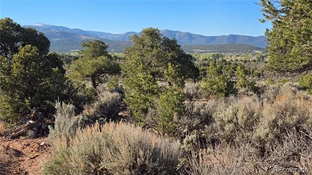 Lot 3714 Hartgrave Road Fort Garland, CO 81133