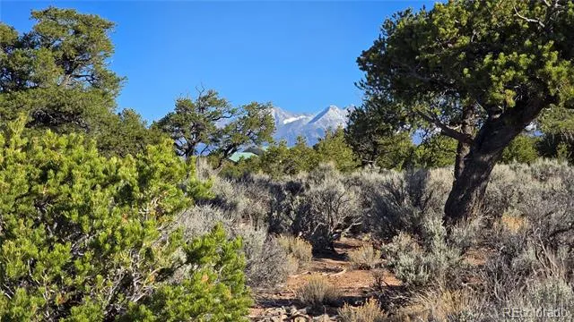 Lot 3714 Hartgrave Road Fort Garland, CO 81133