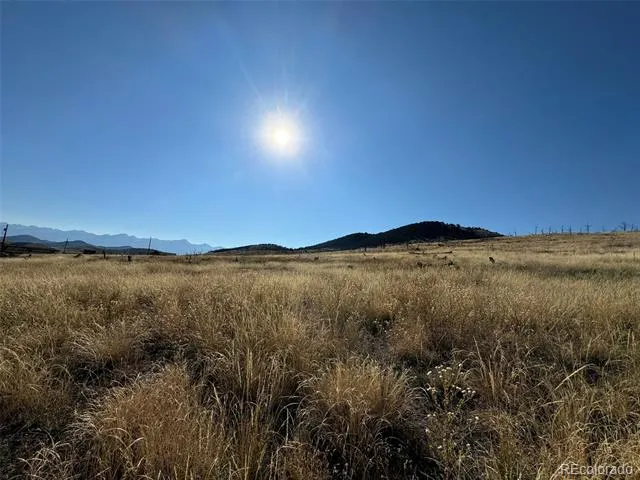 Lot 50 Copper Gultch Road Cotopaxi, CO 81223