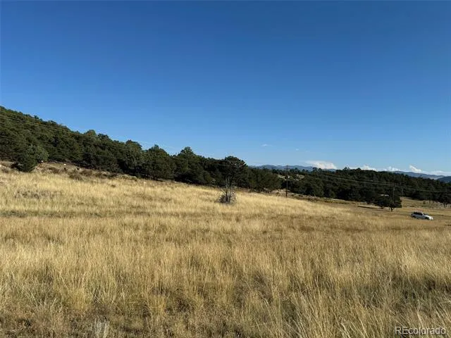 Lot 50 Copper Gultch Road Cotopaxi, CO 81223