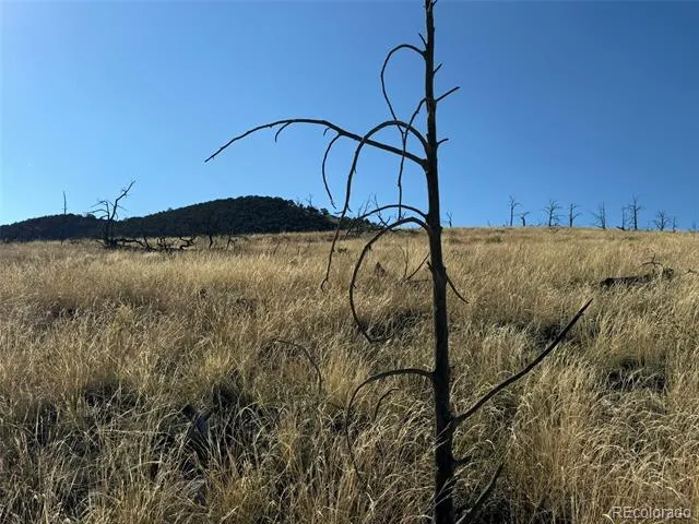Lot 50 Copper Gultch Road Cotopaxi, CO 81223