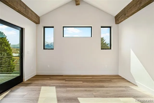 421 Chestnut Street #A,B,C Buena Vista, CO 81211