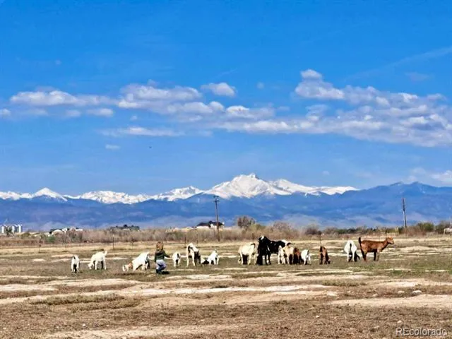 2832 County Road 20 Longmont, CO 80504
