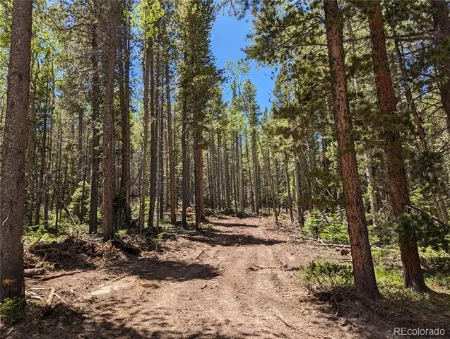 2905 Forbes Park Loop Fort Garland, CO 81133