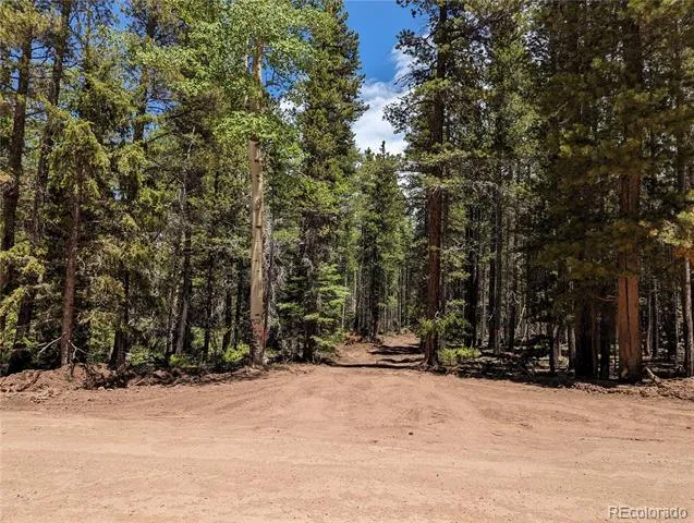 2905 Forbes Park Loop Fort Garland, CO 81133